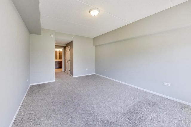 105 Lakeview Drive 307, Bloomingdale, IL 60108