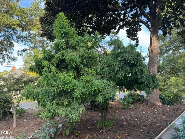 1612 Maryland Avenue, Durham, NC 27705