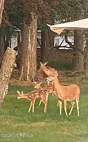 3 Woodstock Drive, Toms River, NJ 08757