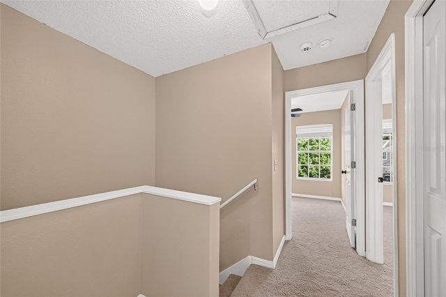 4319 DEERMONT CIRCLE, Tampa, FL 33624