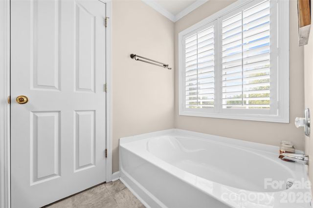 11229 Palomar Mountain Drive, Charlotte, NC 28278