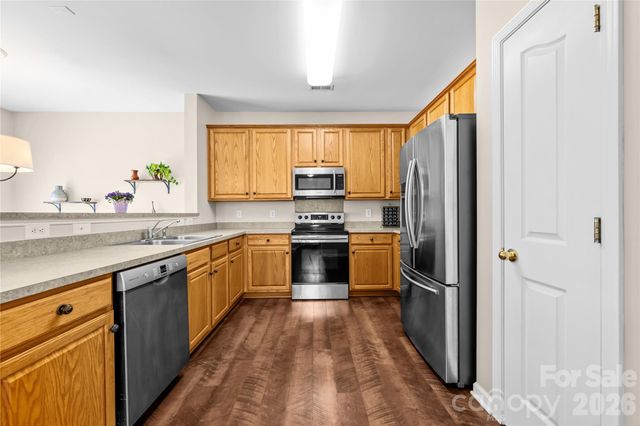 11229 Palomar Mountain Drive, Charlotte, NC 28278