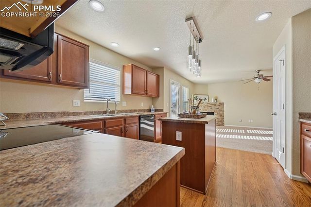 10355 Desert Bloom Way, Colorado Springs, CO 80925