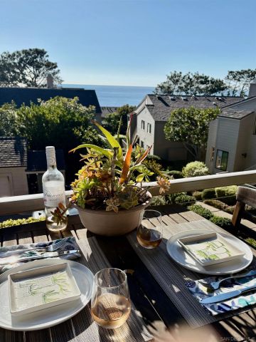 238 Dolphin Cove Ct, Del Mar, CA 92014
