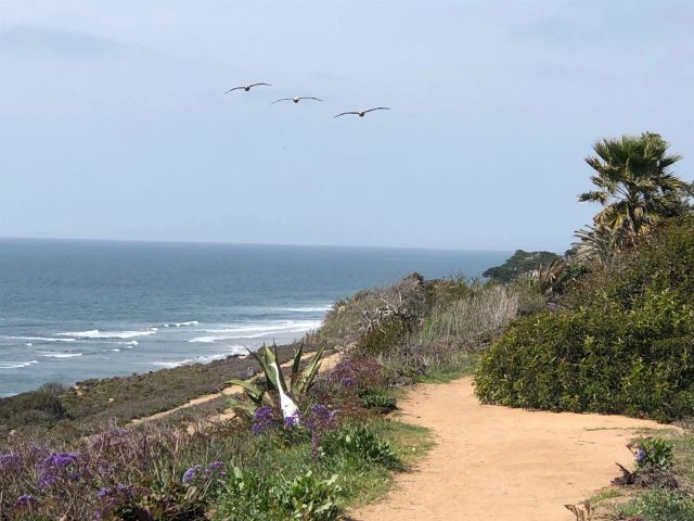 238 Dolphin Cove Ct, Del Mar, CA 92014