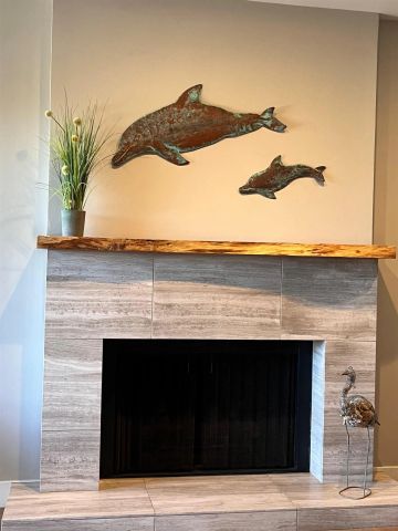 238 Dolphin Cove Ct, Del Mar, CA 92014