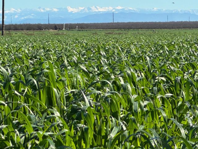 13085 N Vincent Rd, Turlock, CA 95380