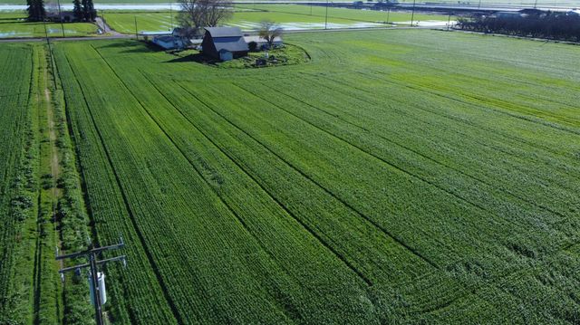 13085 N Vincent Rd, Turlock, CA 95380