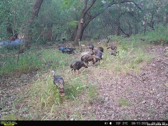 21207 Scenic Loop, Helotes, TX 78023