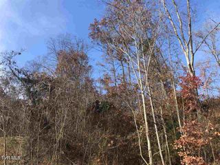 212 Austin Drive, Rogersville, TN 37857