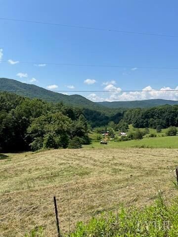 0 Coopers Cove Road, Hardy, VA 24101