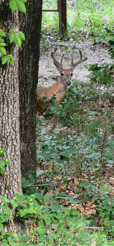 2824 New Prue Road, Sand Springs, OK 74063