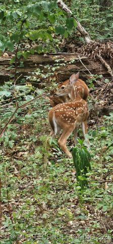 2824 New Prue Road, Sand Springs, OK 74063