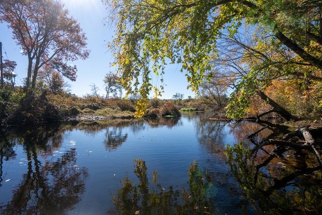 242 Main 204, Millis, MA 02054