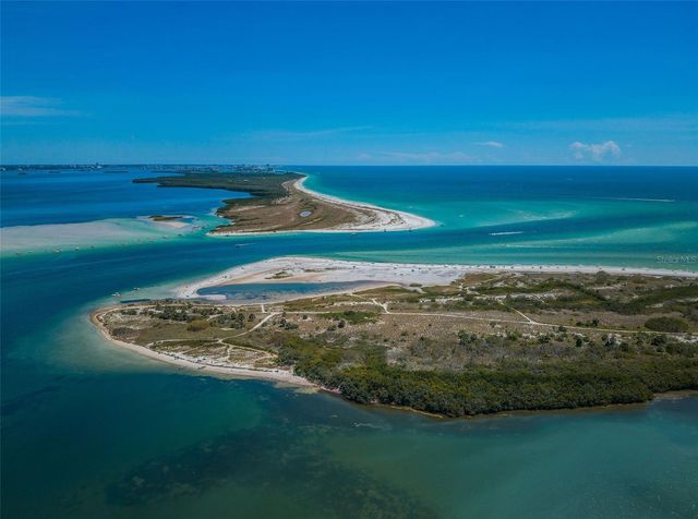 1502 COTTONWOOD TERRACE, Dunedin, FL 34698