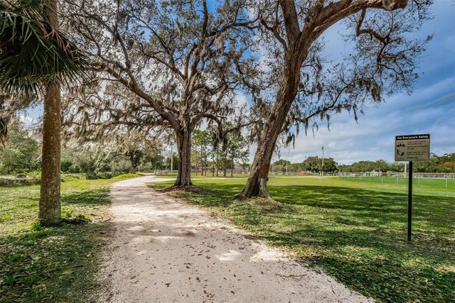 1502 COTTONWOOD TERRACE, Dunedin, FL 34698