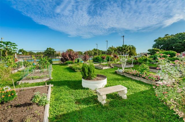 1502 COTTONWOOD TERRACE, Dunedin, FL 34698