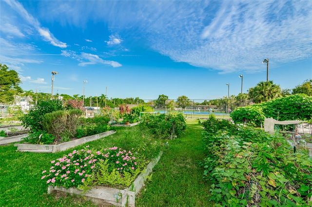 1502 COTTONWOOD TERRACE, Dunedin, FL 34698