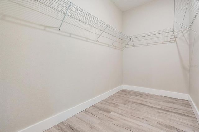 8082 ROLLING SHELL TRAIL, Wesley Chapel, FL 33545