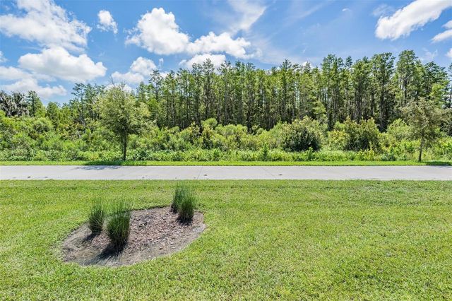 8082 ROLLING SHELL TRAIL, Wesley Chapel, FL 33545