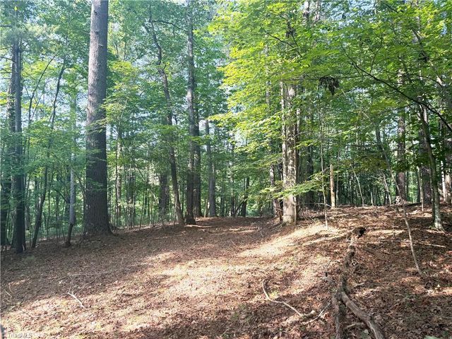 0 Lake Ridge Drive, Wilkesboro, NC 28697