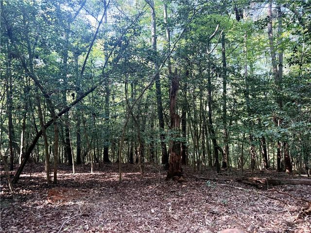 0 Lake Ridge Drive, Wilkesboro, NC 28697