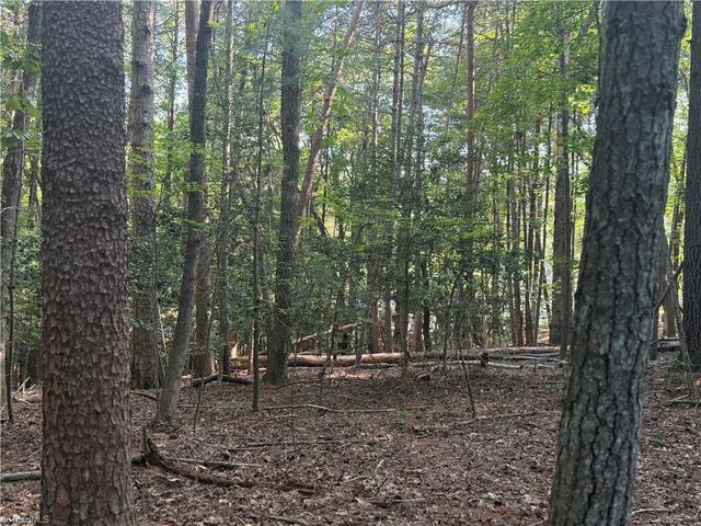 0 Lake Ridge Drive, Wilkesboro, NC 28697
