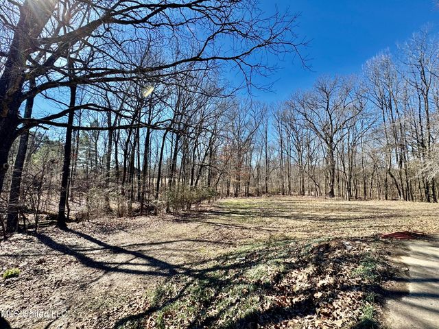 809 Green Acres Drive, Hernando, MS 38632