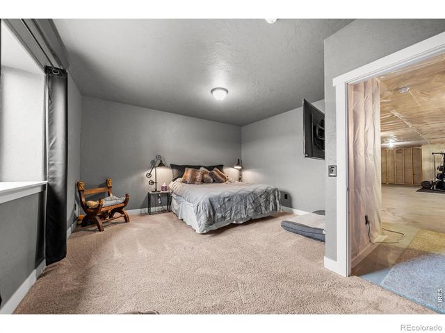 1667 E County Road 64, Wellington, CO 80549