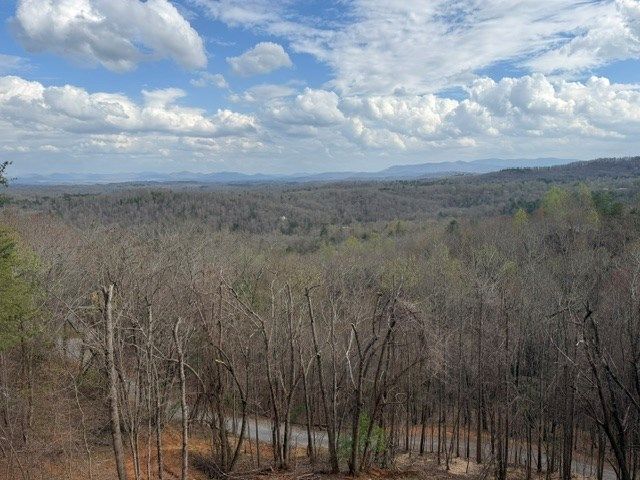 LT40 Lookout Drive, Blue Ridge, GA 30015
