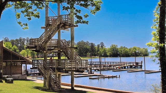 0 The Woods Road, Coldspring, TX 77331