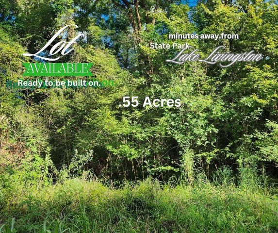 0 The Woods Road, Coldspring, TX 77331