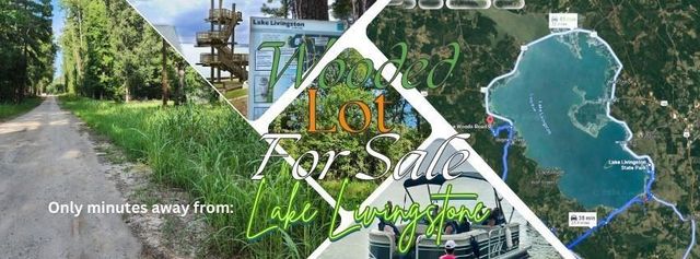 0 The Woods Road, Coldspring, TX 77331