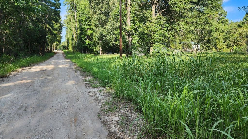 0 The Woods Road, Coldspring, TX 77331