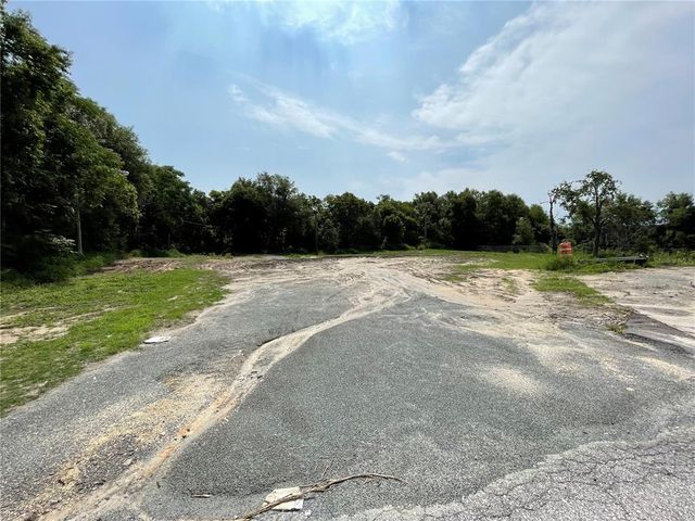 1501 ROBIE AVENUE, Mount Dora, FL 32757