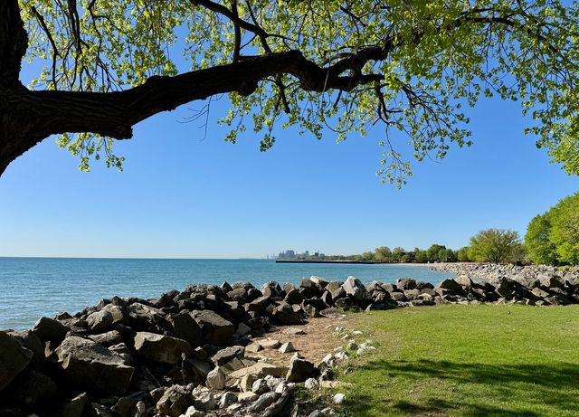 918 MICHIGAN Avenue 3, Evanston, IL 60202