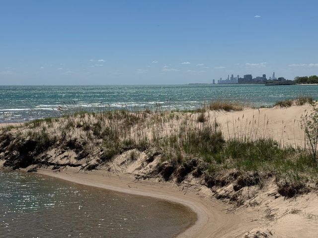 918 MICHIGAN Avenue 3, Evanston, IL 60202