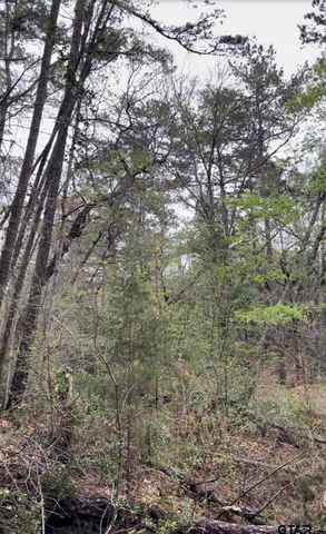 5152 Shiloh Ridge, Tyler, TX 75703