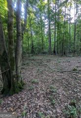 4.2 +/-ACRES River Road, Ellenwood, GA 30294