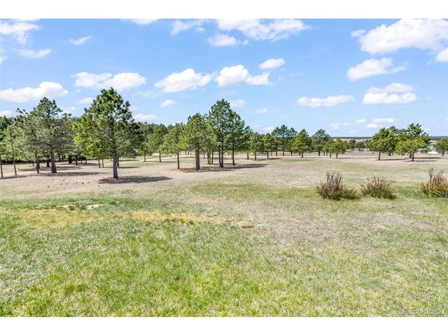 16735 High Tree Dr, Elbert, CO 80106