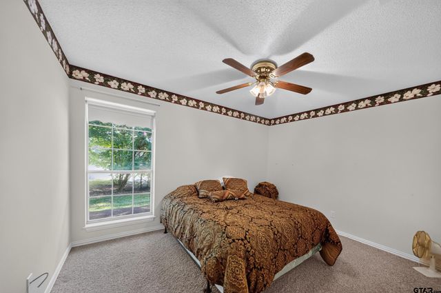 18012 W Lakeview Dr, Troup, TX 75789