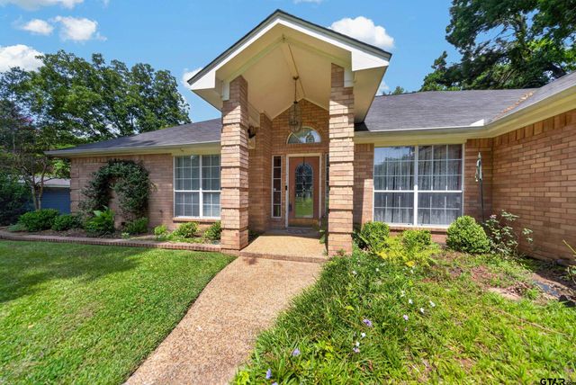18012 W Lakeview Dr, Troup, TX 75789