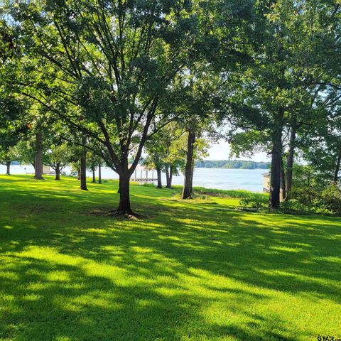 18012 W Lakeview Dr, Troup, TX 75789