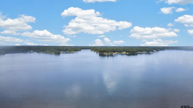 18012 W Lakeview Dr, Troup, TX 75789
