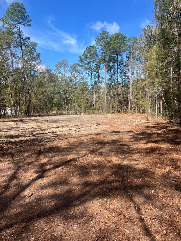 Image 1 of property listing at 1969 Beach Road, Walterboro, SC 29488