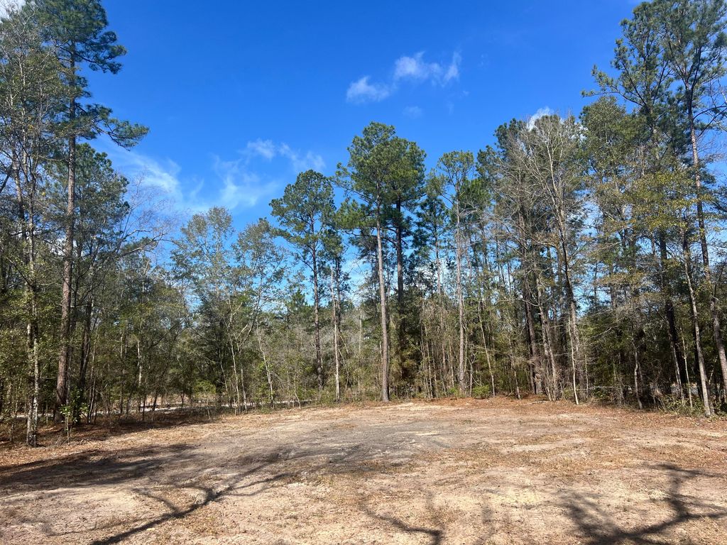 Image 2 of property listing at 1969 Beach Road, Walterboro, SC 29488