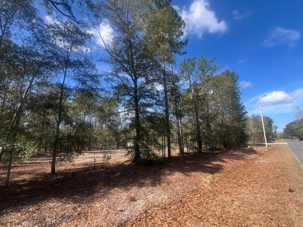 Image 3 of property listing at 1969 Beach Road, Walterboro, SC 29488