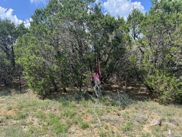 636 ROCK TRAIL PL, Spring Branch, TX 78070