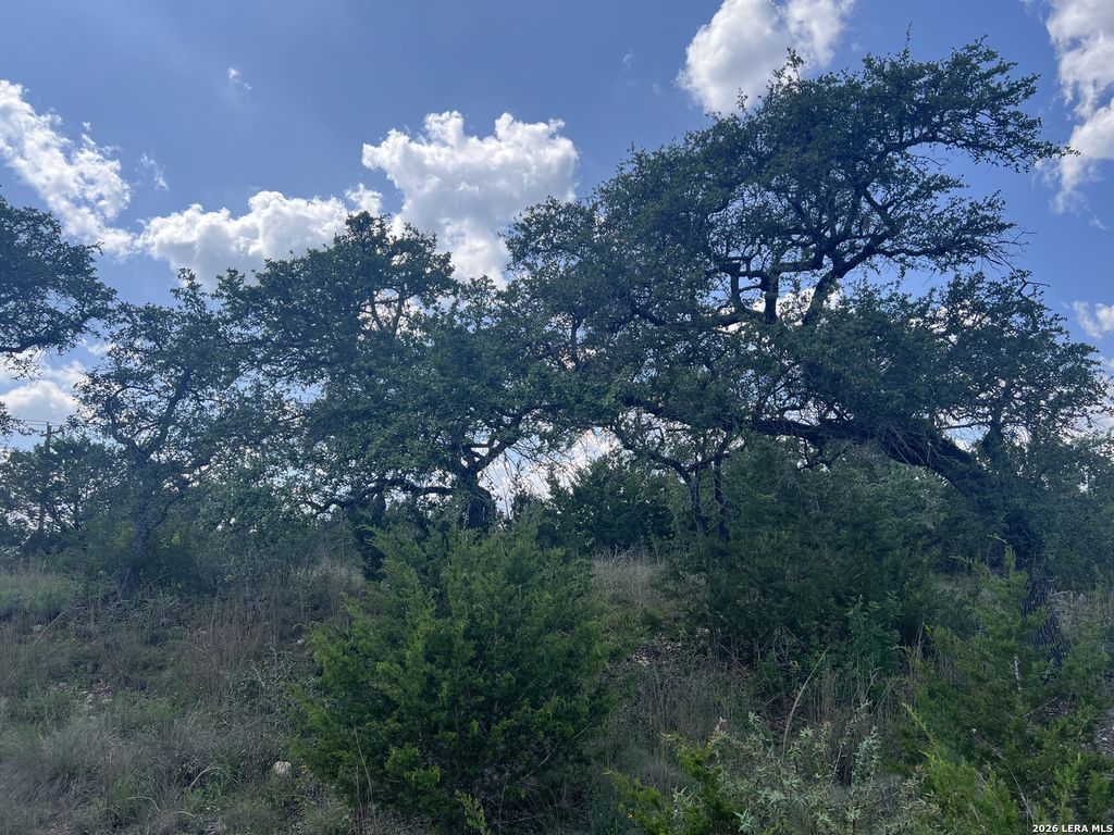636 ROCK TRAIL PL, Spring Branch, TX 78070