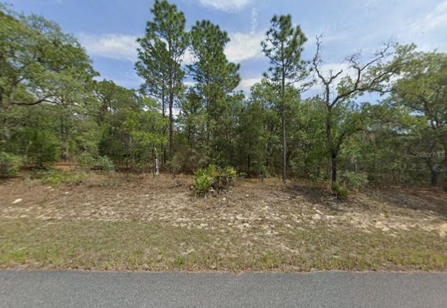 1451 W DOLORES DRIVE, Citrus Springs, FL 34434